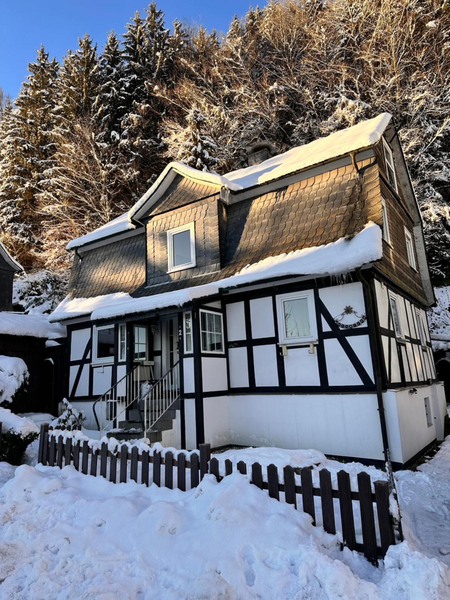Ferienhaus Waldtraum Winterberg Bagian luar foto